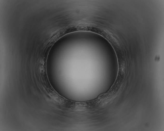 X0000090420964200707131205