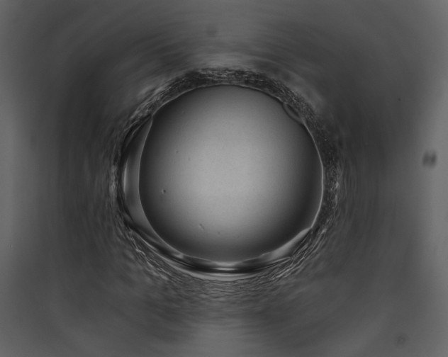 X0000090420965200707131205