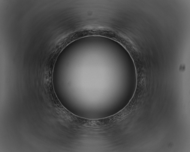 X0000090420966200707131205