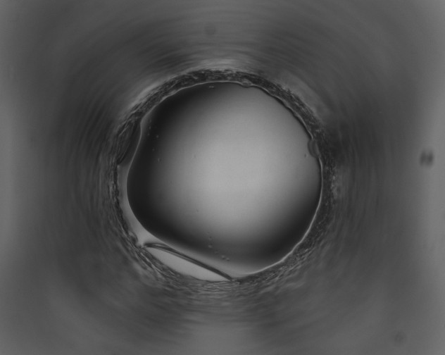 X0000090420968200707131205