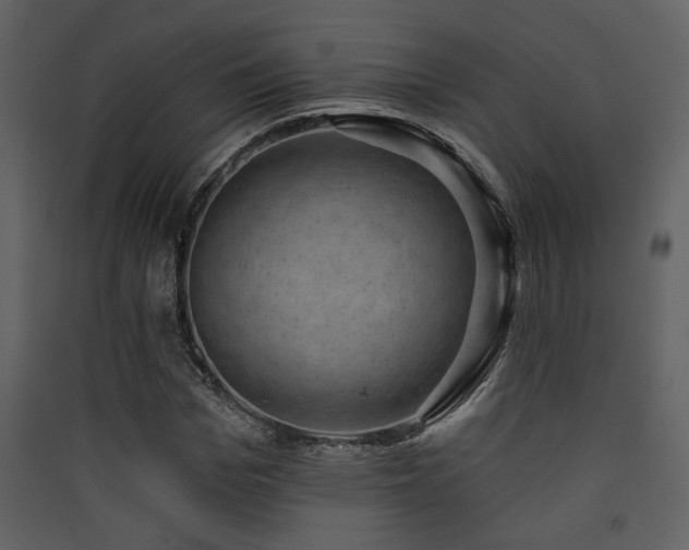 X0000090420969200707131205