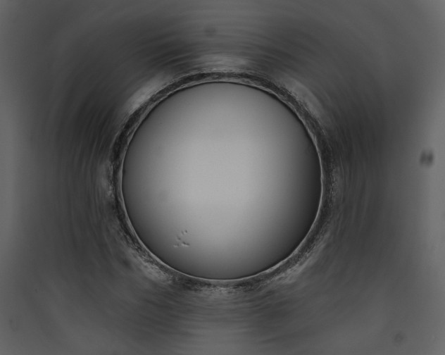 X0000090420970200707131205