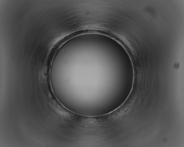 X0000090420971200707131205