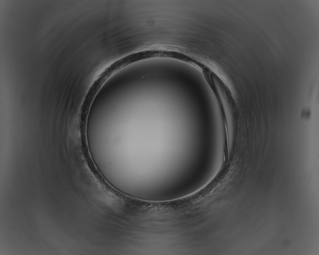 X0000090420972200707131205