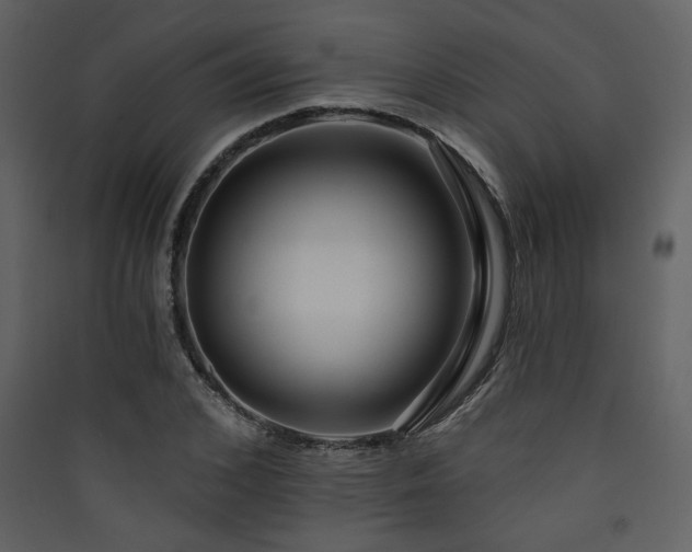 X0000090420976200707131205