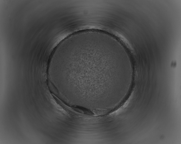 X0000090420977200707131205