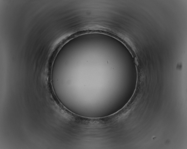 X0000090420979200707131205