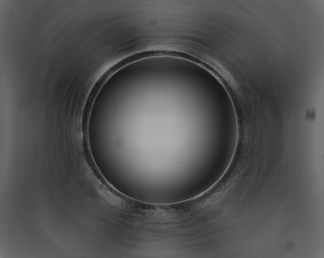 X0000090420980200707131205
