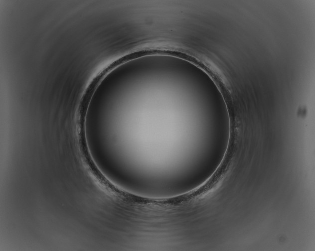 X0000090420981200707131205