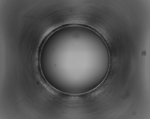 X0000090420982200707131205