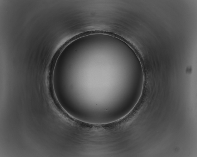 X0000090420983200707131205