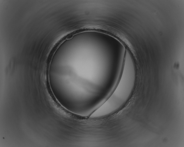 X0000090420984200707131205