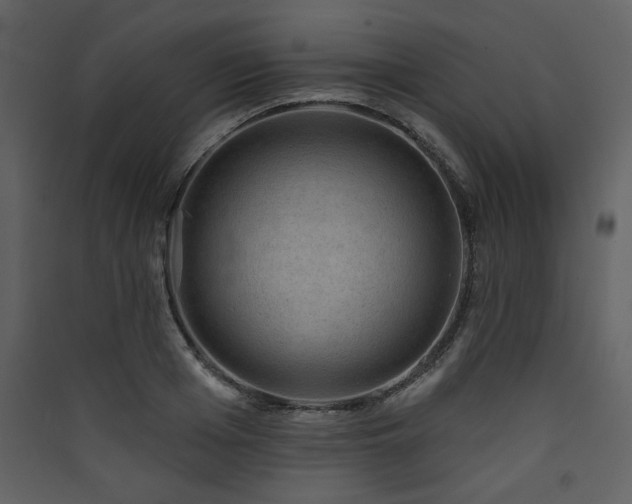 X0000090420985200707131205