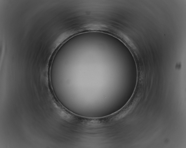 X0000090420986200707131205