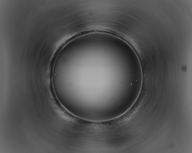 X0000090420987200707131205