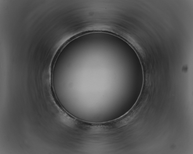 X0000090420988200707131205