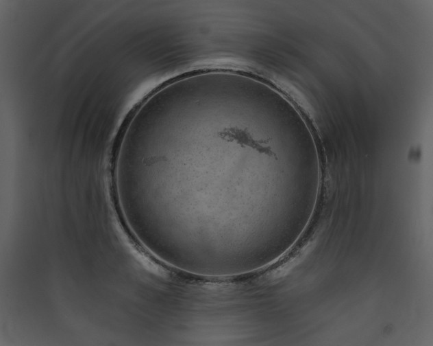 X0000090420989200707131205