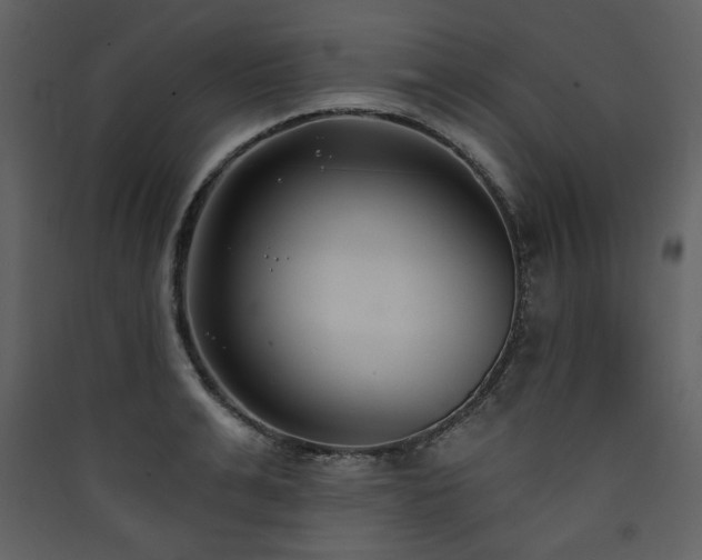 X0000090420991200707131205
