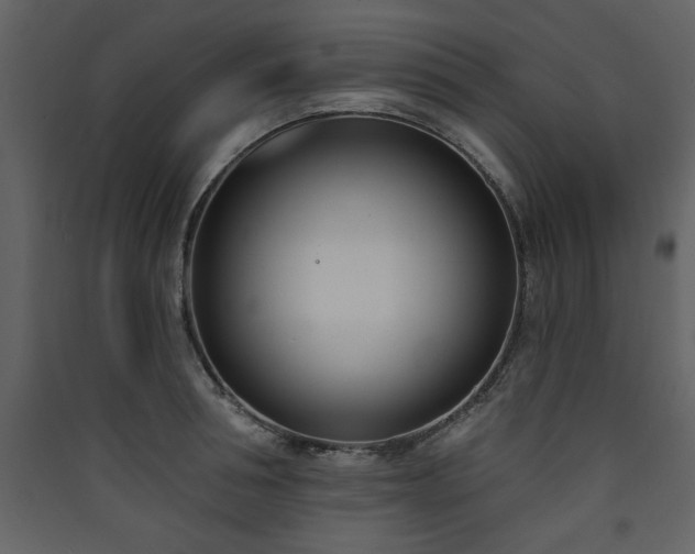 X0000090420994200707131205