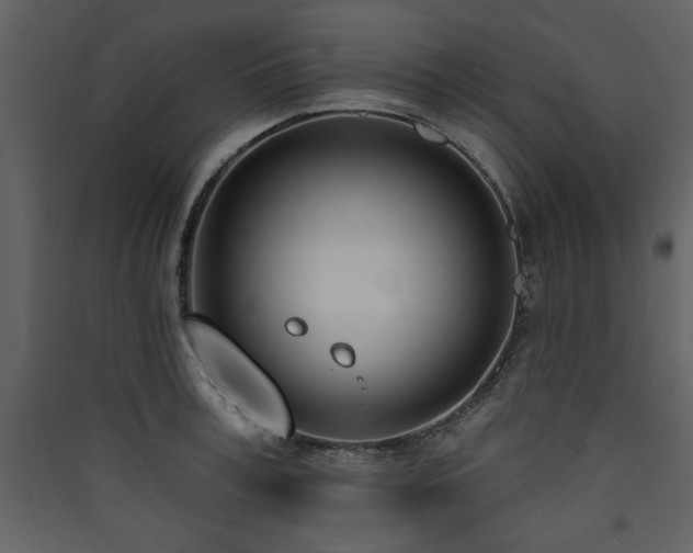 X0000090420995200707131205