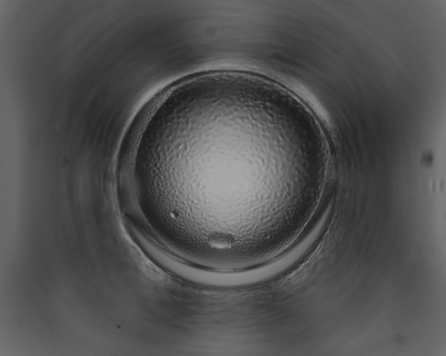 X0000090420996200707131205