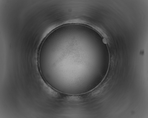 X0000090420998200707131205
