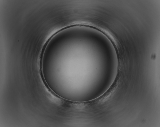 X0000090420999200707131205