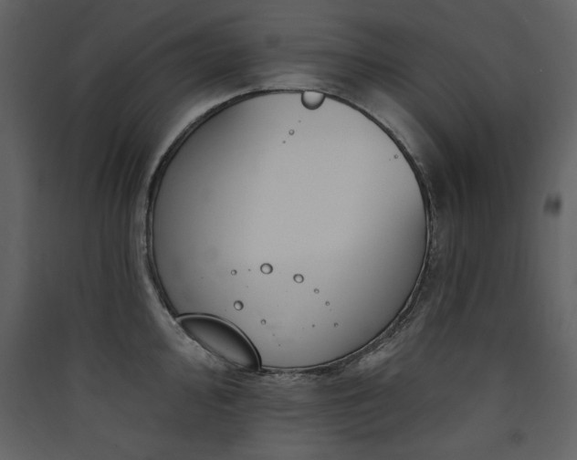 X0000090421000200707131205