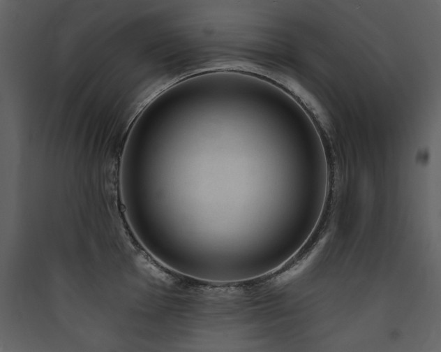 X0000090421001200707131205