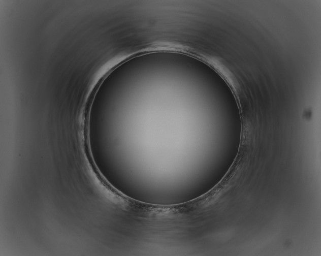X0000090421003200707131205