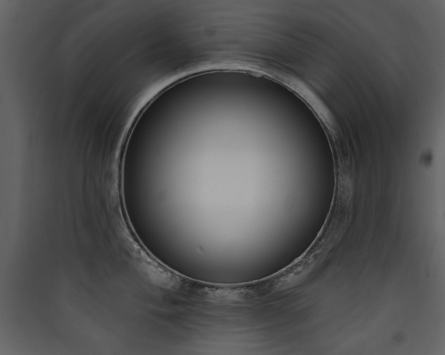 X0000090421004200707131205