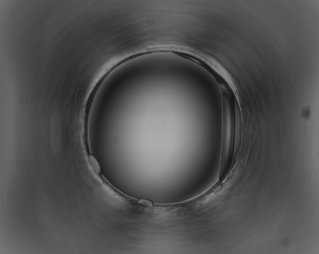X0000090421005200707131205