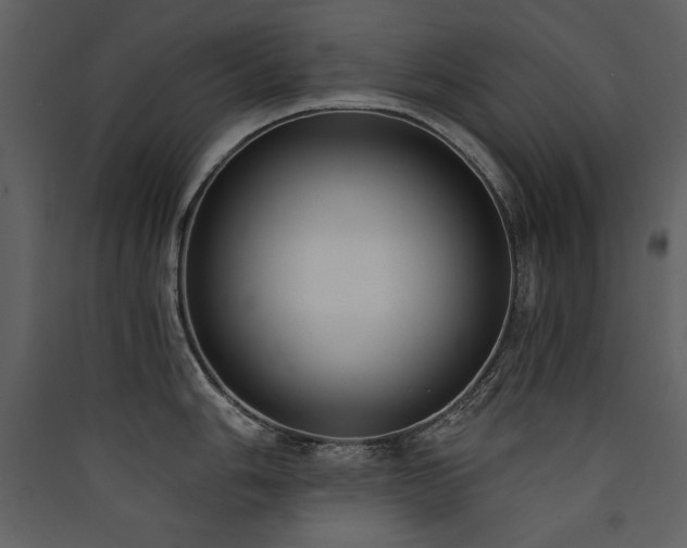 X0000090421006200707131205