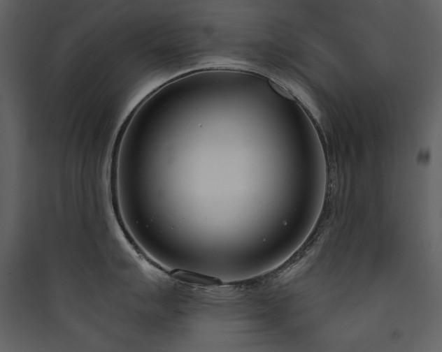 X0000090421007200707131205