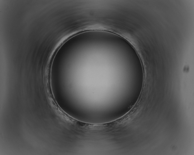 X0000090421008200707131205