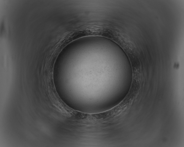X0000090421009200707131204