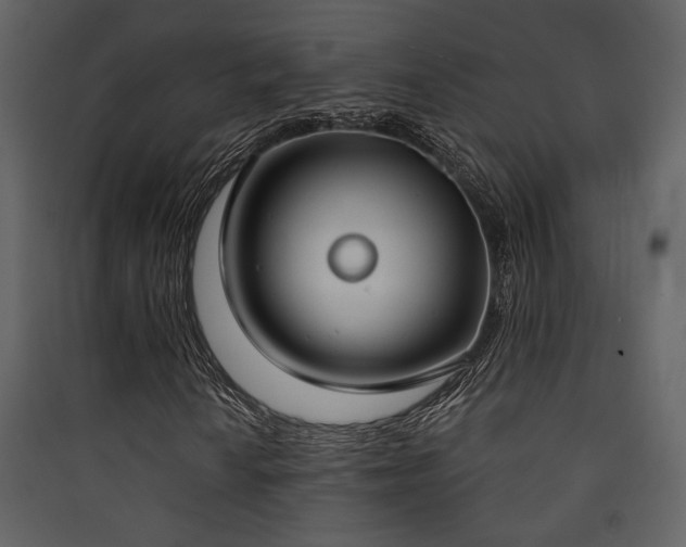 X0000090421010200707131204