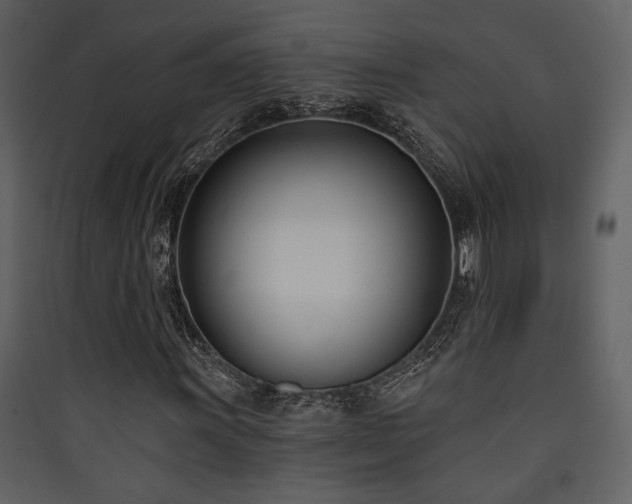 X0000090421011200707131204