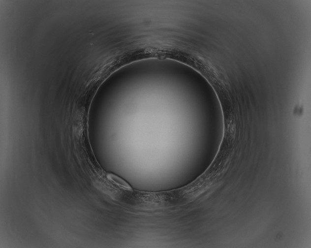 X0000090421012200707131204