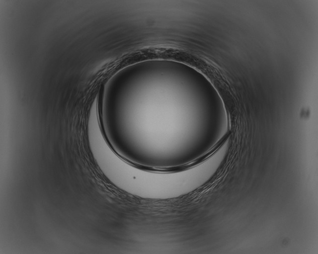 X0000090421014200707131204