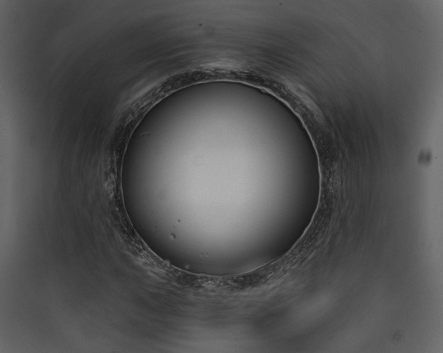 X0000090421015200707131204