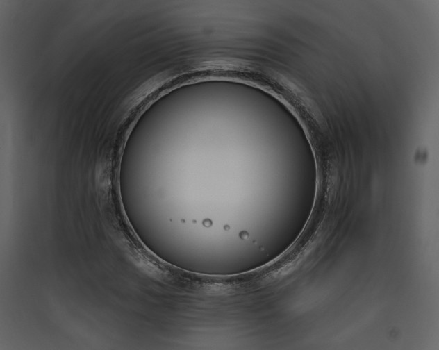 X0000090421017200707131204