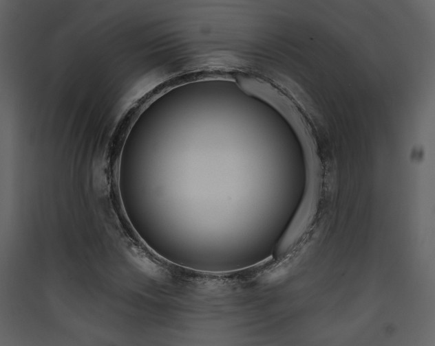 X0000090421018200707131204