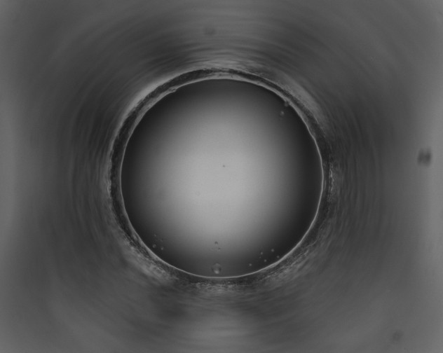X0000090421020200707131204