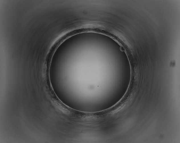 X0000090421021200707131204