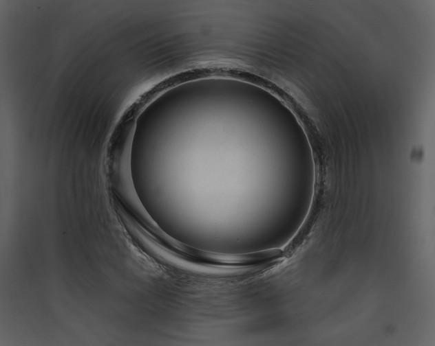 X0000090421022200707131204