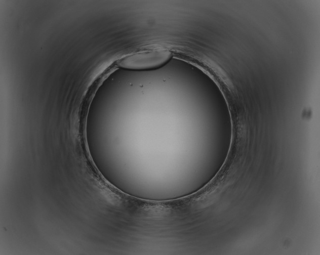 X0000090421023200707131204