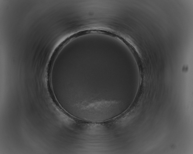 X0000090421024200707131204