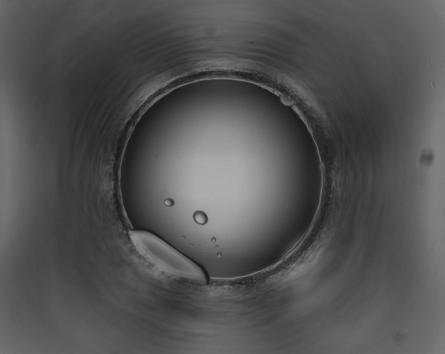 X0000090421025200707131204