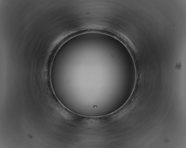 X0000090421027200707131204